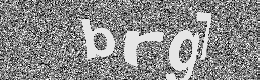 Verification image