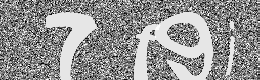 Verification image