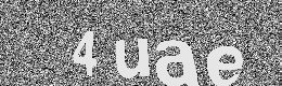 Verification image