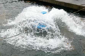 Рибовъдство