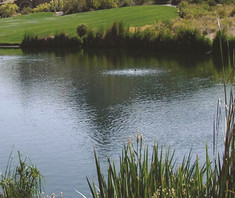 Дифузна аерация